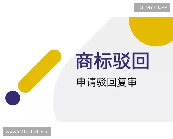 如何在凯发首页地址成功注册商标保障品牌权益的实用指南